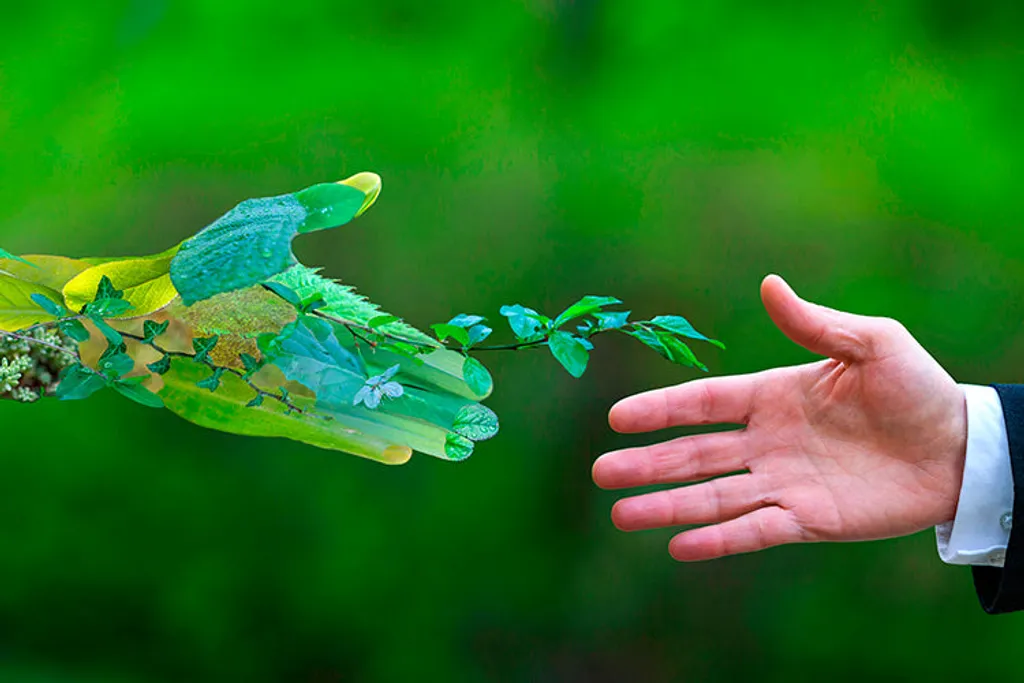 BiOHY Laminatreiniger, Laminat Pflege, Vinyl Reiniger, Laminatpflegemittel – 1 x 1 Liter Flasche BiOHY Laminatreiniger, Laminat Pflege, Vinyl Reiniger, Laminatpflegemittel – 1 X 1 Liter Flasche -Kaufland Geschäft 07e02fcdc96875454155e14f233a10e0