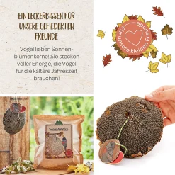 Die Stadtgärtner Sonnenblümchen I Schönes Vogelfutter Zum Verschenken I Getrocknetes Sonnenblumenköpfchen Zum Aufhängen I Vögel Füttern & Beobachten I Liebevoll Verpackt In Handarbeit In Deutschland -Kaufland Geschäft 4b6304399aab135eb7c7ef1d6b90aeee