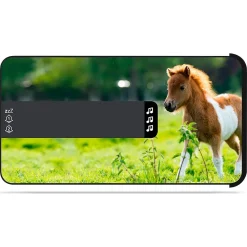 Bigben Multimedia Kids Wecker R16 Horses Wecker Radio&Wecker -Kaufland Geschäft c9fe056b22626c582e72445575859782